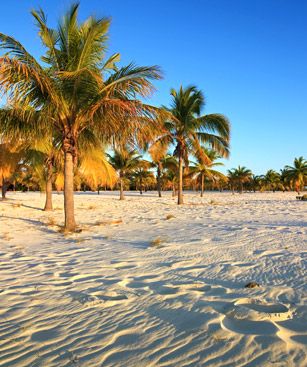 Cayo Largo Del Sur Plage De La Sirene