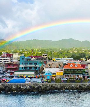 Roseau Arc En Ciel