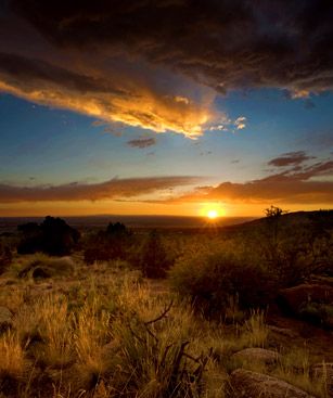 Albuquerque