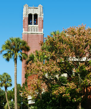 Gainesville Tour Universite De Floride