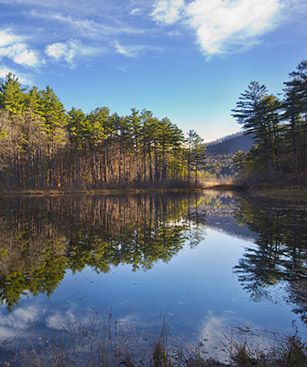 Worcester Massachusetts Swamps