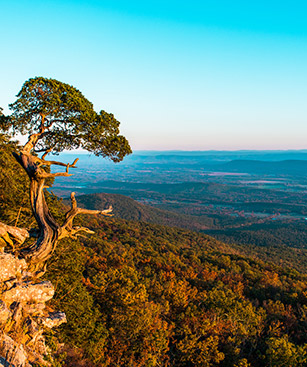 Arkansas