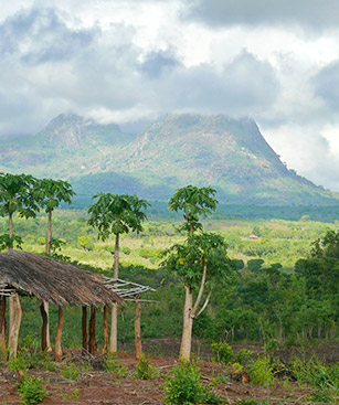 Mozambique