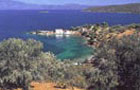 Vol Chios