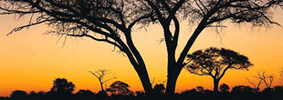 Zimbabwe