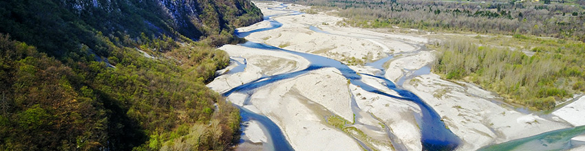 Le Tagliamento