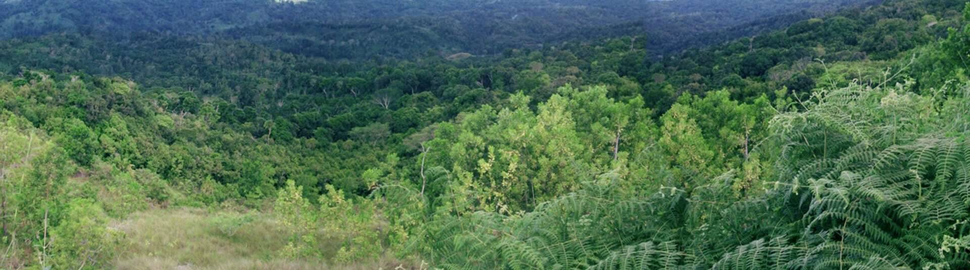 Comores